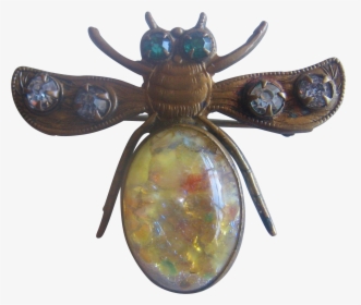 Transparent Flying Bug Png - Amber, Png Download, Transparent PNG
