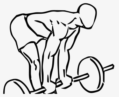 Transparent Deadlift Png - Bicep Curl With Deadlift, Png Download, Transparent PNG