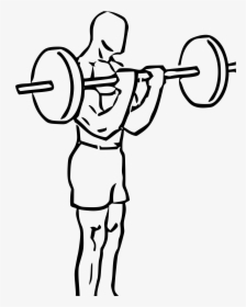 Bicep Barbell Curl Drawing, HD Png Download, Transparent PNG