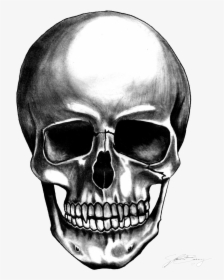 Skull Transparent Png, Png Download, Transparent PNG