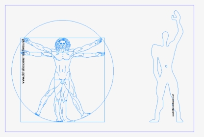 Hombre De Vitruvio Vitruviano Leonardo Da Vinci Modulor - Vitruvian Man Modulor, HD Png Download, Transparent PNG