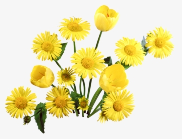 Dandelion Png - Flower Png Background Full Hd, Transparent Png, Transparent PNG
