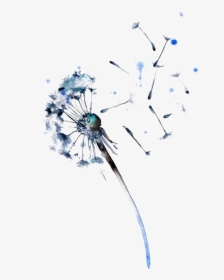 Watercolour Dandelion, HD Png Download, Transparent PNG