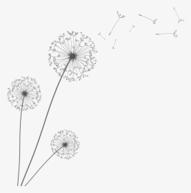 Euclidean Vector Dandelion - Minimalist Floral Vector, HD Png Download, Transparent PNG