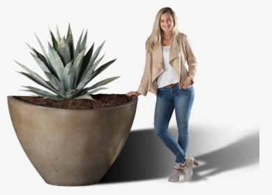 Agave Azul, HD Png Download, Transparent PNG