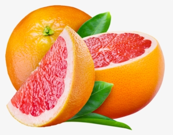 Grapefruit Png Image - Grapefruit Png, Transparent Png, Transparent PNG