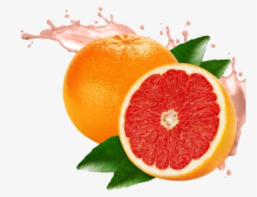 Grapefruit Png Image - Transparent Grapefruit Png, Png Download, Transparent PNG