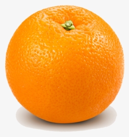 Grapefruit Bitter Orange Lemon - Orange Transparent, HD Png Download, Transparent PNG