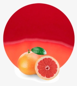 Tangerine, HD Png Download, Transparent PNG
