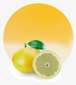 Lemon And White Grapefruit Look Alike, HD Png Download, Transparent PNG