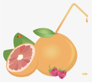 Juice Grapefruit Euclidean Vector - Tangerine, HD Png Download, Transparent PNG