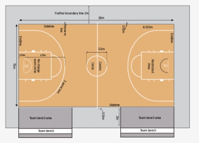 Basketball Court Layout - Player, HD Png Download, Transparent PNG
