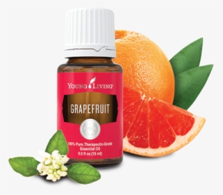 Young Living Grapefruit Essential Oil 15 Ml , Png Download - Young Living Grapefruit Essential Oil, Transparent Png, Transparent PNG