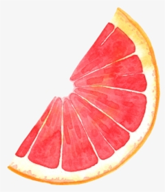 Clip Art Pomelo Blood Orange Illustration - Grapefruit Cartoon Png, Transparent Png, Transparent PNG