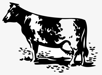 Cow Without Barn Svg Clip Arts - Dairy Farm Clipart, HD Png Download, Transparent PNG
