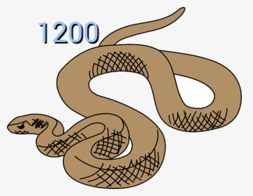 Rattlesnake Clipart Australian Snake - Snake Clipart, HD Png Download, Transparent PNG