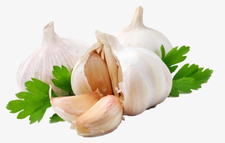 Garlic Png, Transparent Png, Transparent PNG