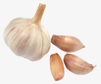 Garlic Png - Transparent Background Png Png Cloves Garlic, Png Download, Transparent PNG