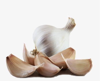 Garlic Png Hd Images - Solent Wight Garlic Cloves, Transparent Png, Transparent PNG