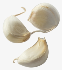 Garlic Bread Clove Condiment Onion - Transparent Garlic Clove, HD Png Download, Transparent PNG