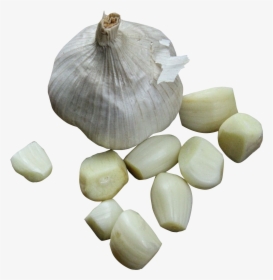 Garlic Png Image - Garlic Png, Transparent Png, Transparent PNG