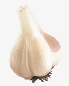 Garlic Png Image - Garlic Transparent, Png Download, Transparent PNG