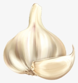 Garlic Cartoon Vegetable - Garlic Cartoon Png, Transparent Png, Transparent PNG