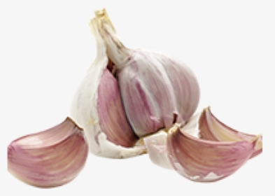 Garlic Png Transparent Images - Thrush On The Vagina, Png Download, Transparent PNG