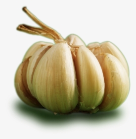 Ontos Garlic - Garlic - Garlic, HD Png Download, Transparent PNG