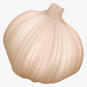 Garlic, HD Png Download, Transparent PNG
