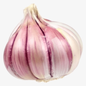 Growing Garlic - Corm In Garlic, HD Png Download, Transparent PNG