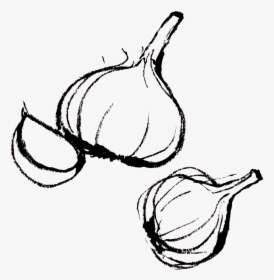 Garlic Clipart Draw - Garlic Draw Png, Transparent Png, Transparent PNG