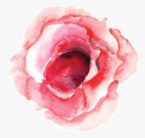 Single Rose Bloom - Png Water Color Single Flower, Transparent Png, Transparent PNG