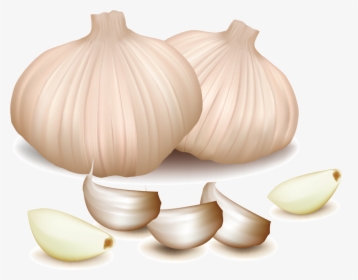 Vegetable, HD Png Download, Transparent PNG