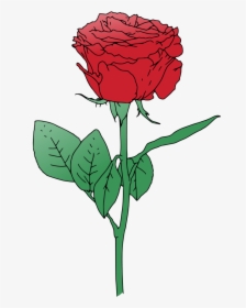 Red Vector Rooweb - Red Roses Vector Free, HD Png Download, Transparent PNG