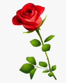 Single Long Stem Rose Drawing - Pink Rose Image Hd, HD Png Download, Transparent PNG