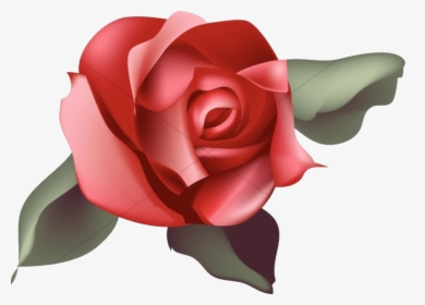 Rose Single Red Blossom Church Clipart Transparent - Red Blossom Rose Clipart, HD Png Download, Transparent PNG