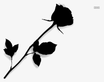 Single Rose Vector Png Transparent Images - Transparent Long Stem Red Rose, Png Download, Transparent PNG