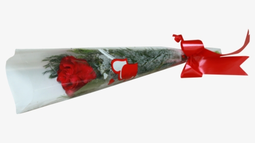 Single Rose With Cellophane Cone - Garden Roses, HD Png Download, Transparent PNG