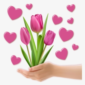 Heart Hands Png - Tulip, Transparent Png, Transparent PNG
