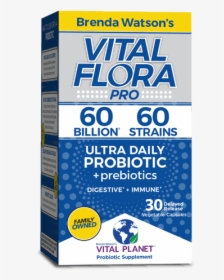 Vital Flora Ultra Daily Probiotic - Brenda Watson Vital Flora, HD Png Download, Transparent PNG