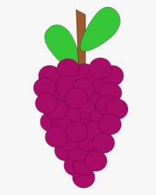 Cartoon Grape Vine - Cartoon Grape Vine Png, Transparent Png, Transparent PNG