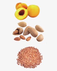 Peanut Yellow Peach Dried Fruit Snack Design Pattern - Any Two Oil Seeds, HD Png Download, Transparent PNG
