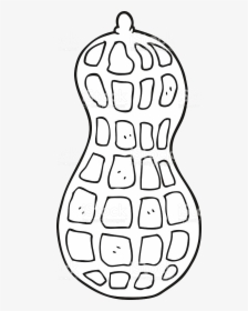 Peanut Clipart Black And White Transparent Png - Peanut Black And White, Png Download, Transparent PNG