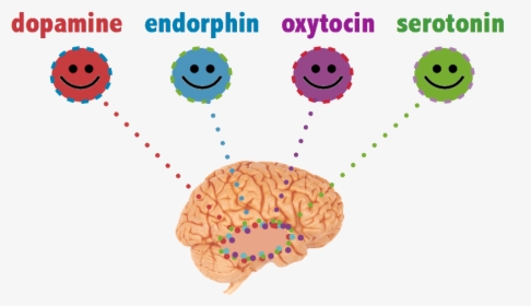 Happy-chemicals - Chemical In The Brain, HD Png Download, Transparent PNG
