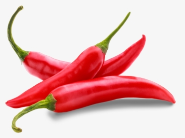 Chilli Image With White Background, HD Png Download, Transparent PNG