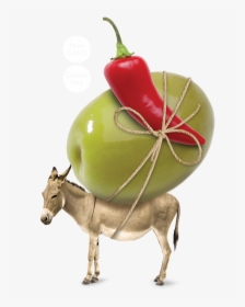 Donkey With White Background, HD Png Download, Transparent PNG