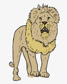 Lion Clip Art, HD Png Download, Transparent PNG