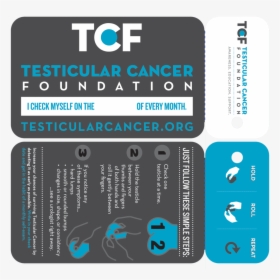 Tcfselfcheckcard - Testicular Cancer Foundation, HD Png Download, Transparent PNG