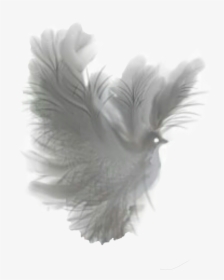 Dove Fantasy White Translucent Clip Arts - Dove Fantasy Png, Transparent Png, Transparent PNG